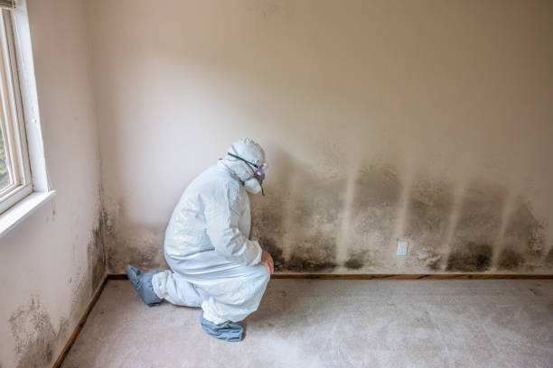 Best HVAC Mold Inspection and Cleaning  in Clinton, WA